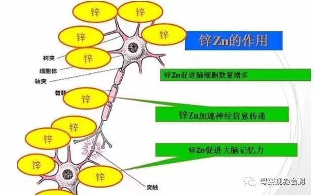 1527901527491810.jpg 640.webp.jpg